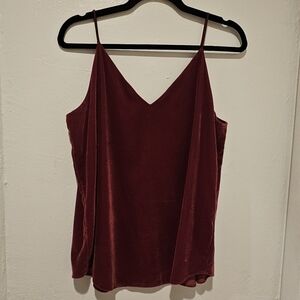 Express Velvet Sleeveless Top